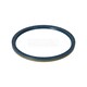RADIAL SHAFT SEAL